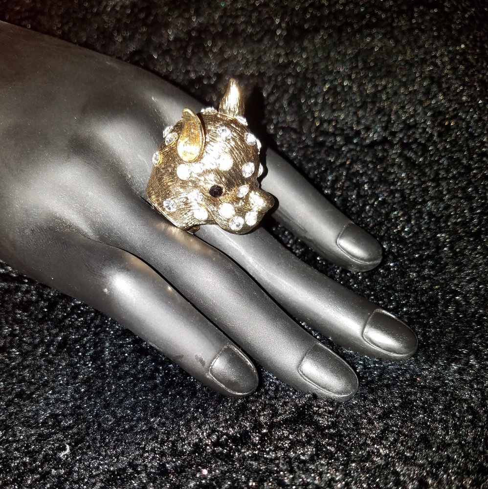 Jewelry (Ring) GORGEOUS! (NEW)